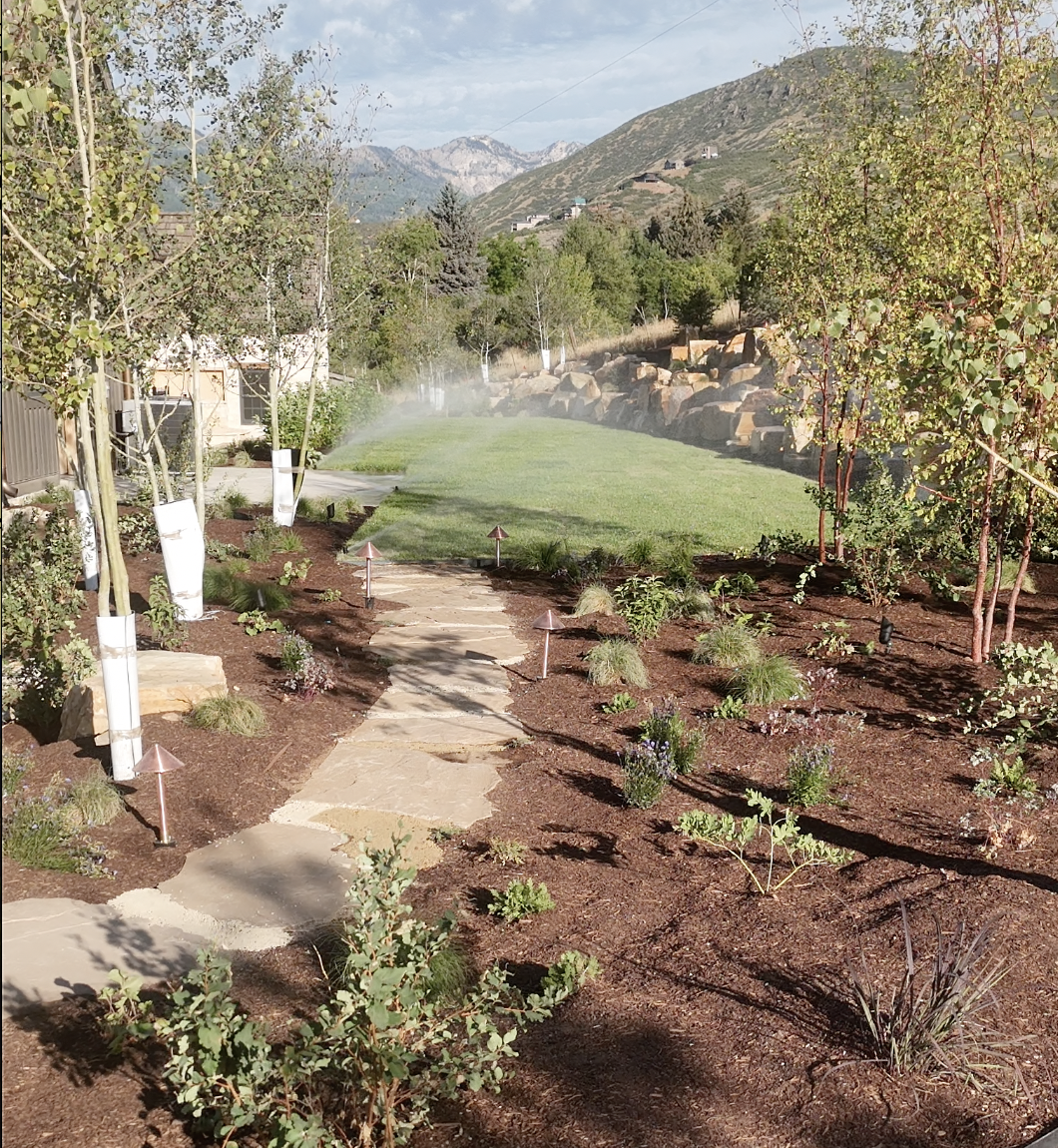 Finished Pine Canyon landscape with stone walkway, new planting, lawn and mountain views